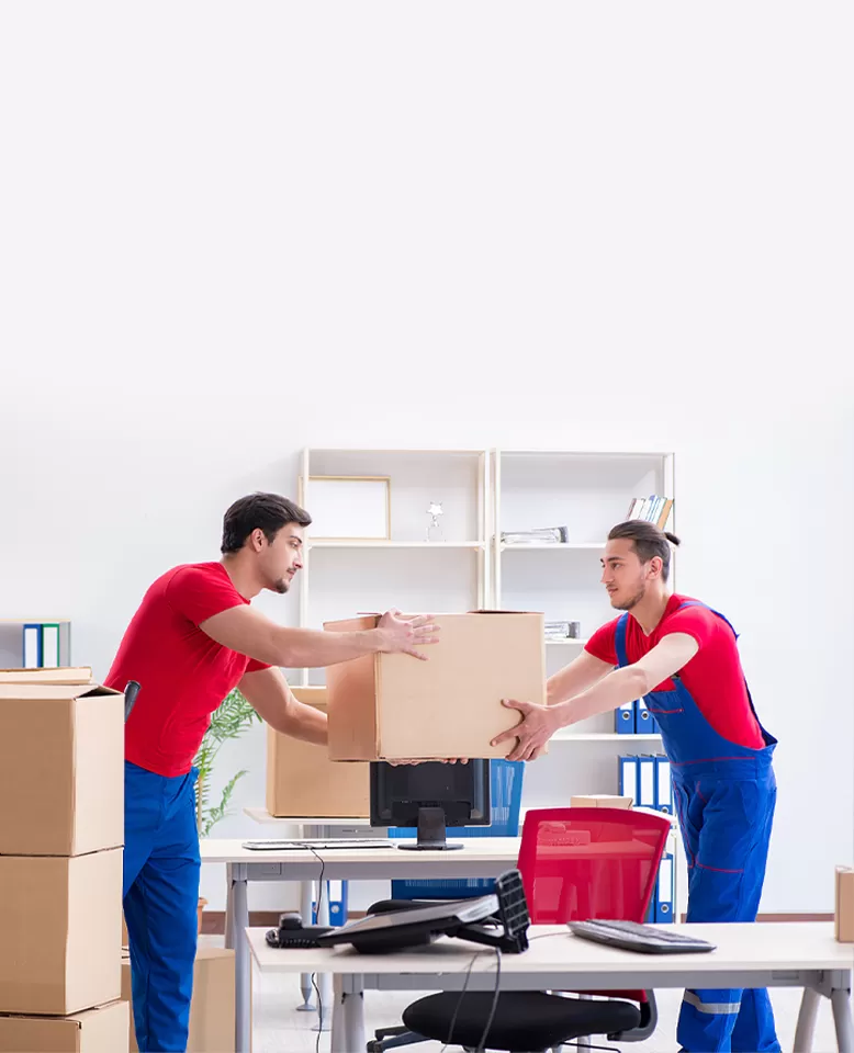 Ofis Ta��mac�l���